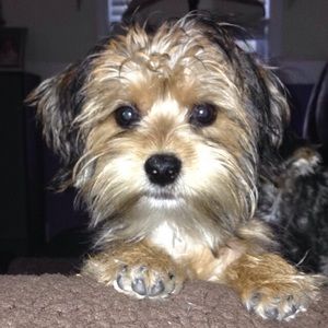 Meet your Posher, Gwendolyn